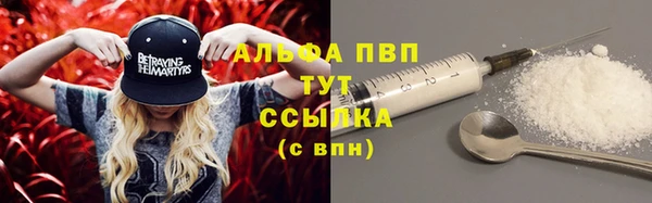 ГАЛЛЮЦИНОГЕННЫЕ ГРИБЫ Абаза
