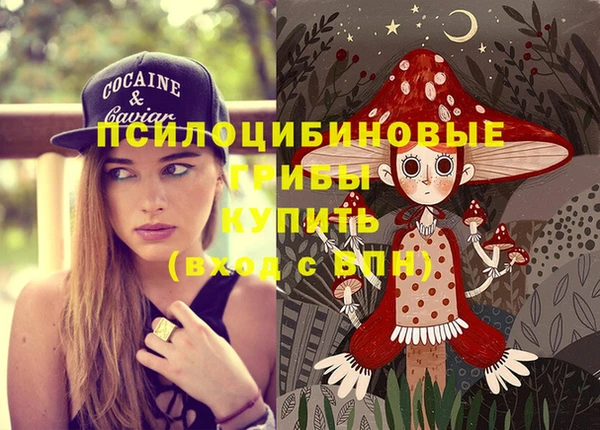 ГАЛЛЮЦИНОГЕННЫЕ ГРИБЫ Абаза