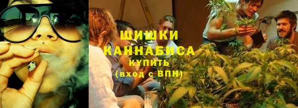 ГАЛЛЮЦИНОГЕННЫЕ ГРИБЫ Абаза