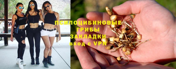 сатива Абдулино