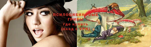 МДМА Медвежьегорск