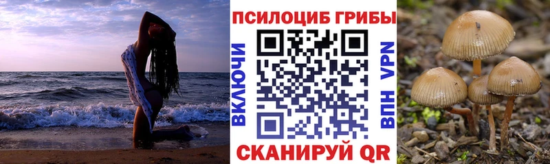 Галлюциногенные грибы MAGIC MUSHROOMS  hydra ONION  Ростов-на-Дону  магазин   